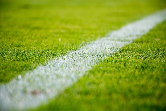 Trænere med visioner: Strategierne bag 1. Liga's succes
